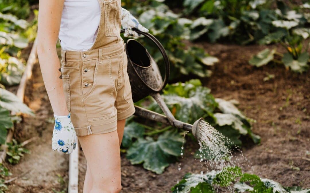 Holen sie sich den Garten der Träume! Die Top 5 Blumen, die immer blühen